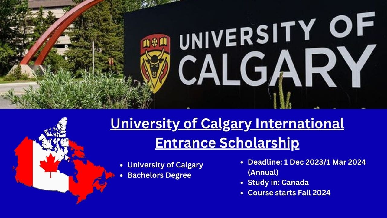University of Calgary International Entrance Scholarship-min